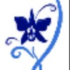 Cabinet Médico-chirurgical Vétérinaire du Dr. Kim